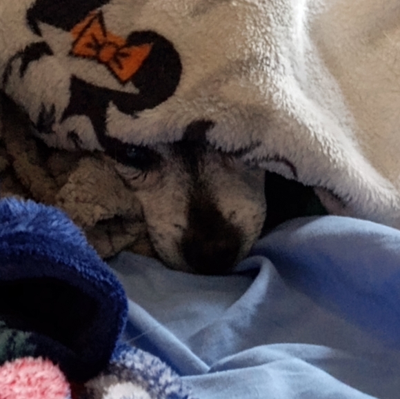 Meet your Posher, Heather - Picture 4 of 4